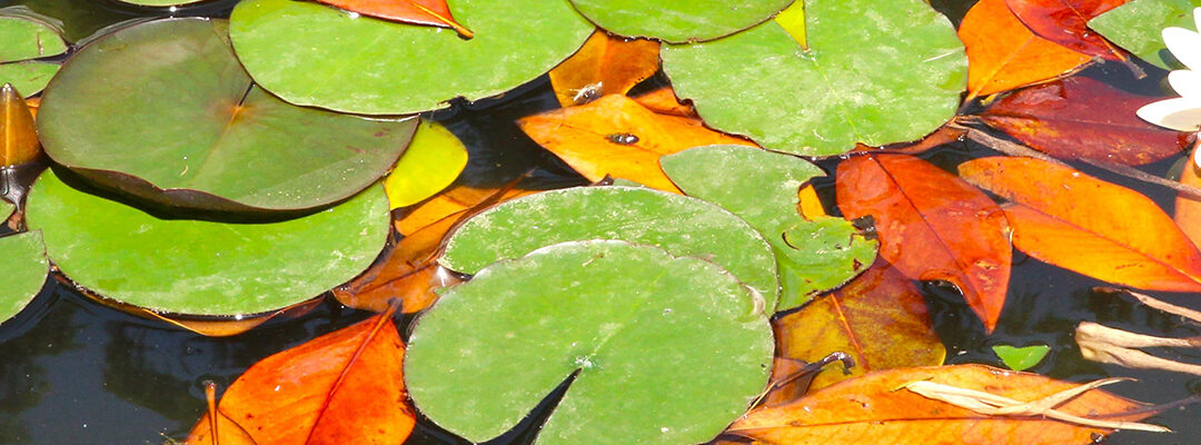 Onderhoud oktober